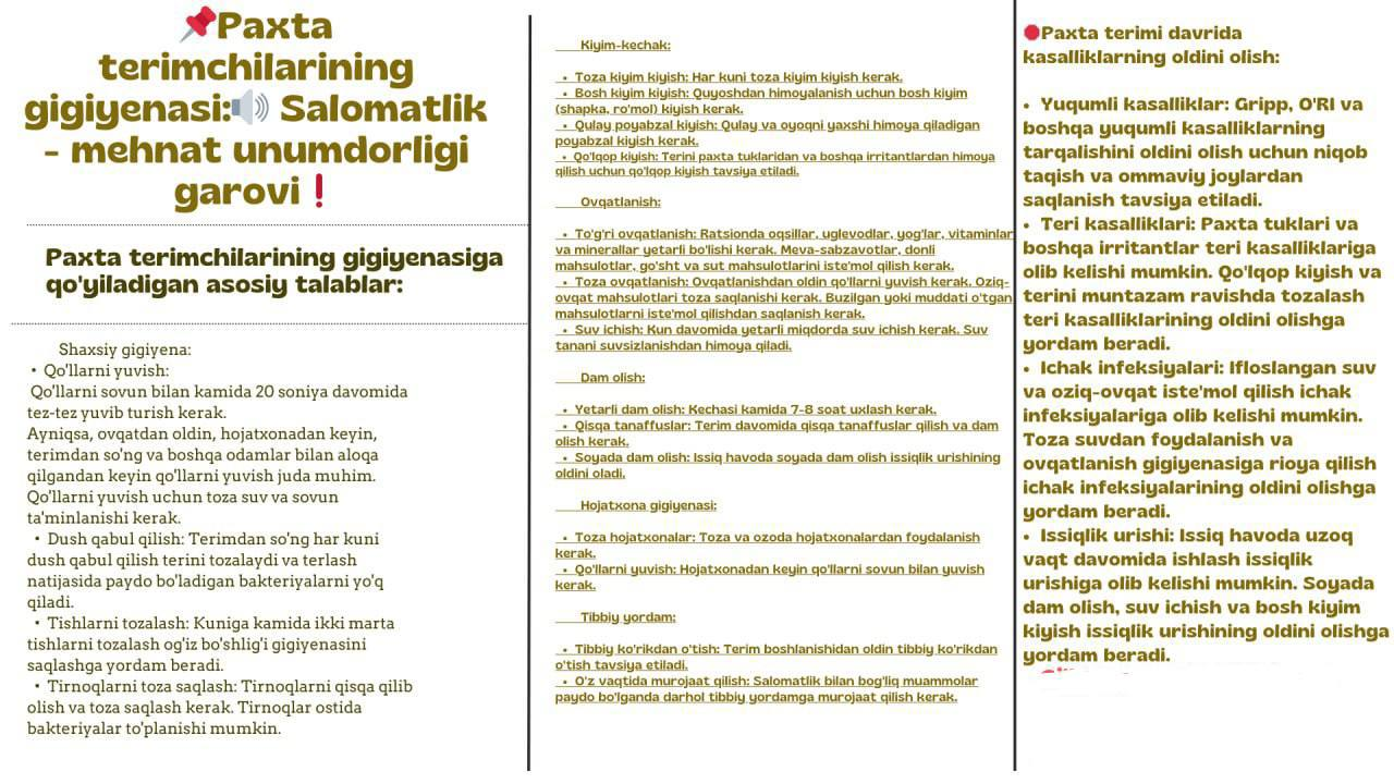 Paxta terimchiliklarining gigiyenasi