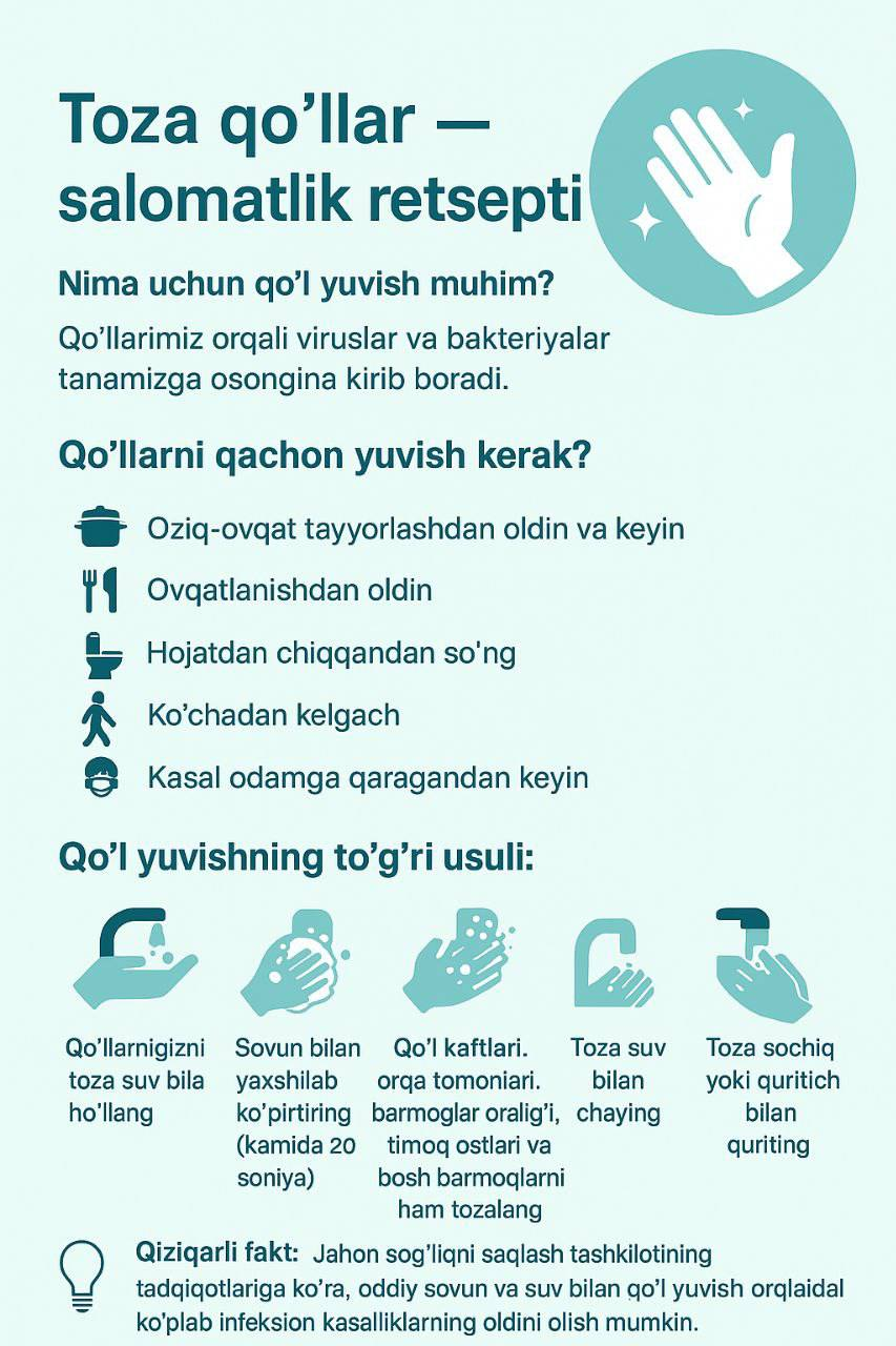 Infografika Toza qo'llar dasturi bo'yicha